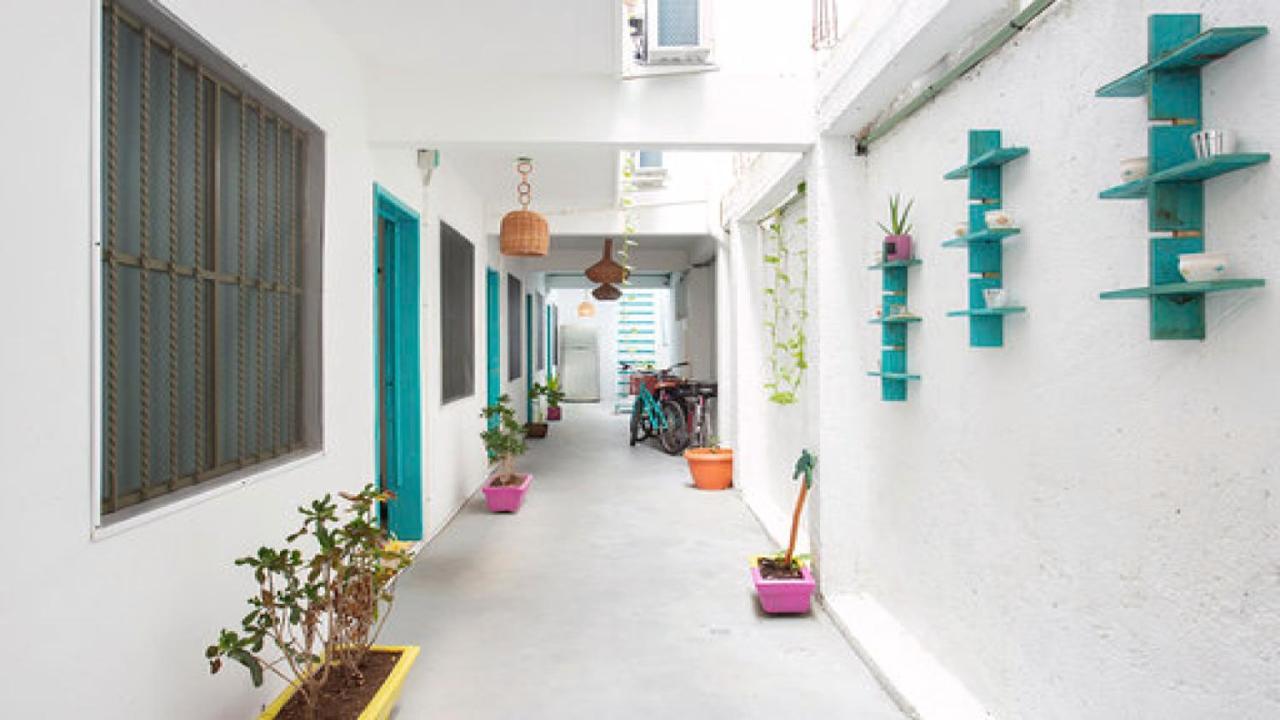 Casa Cálido * Cozumel