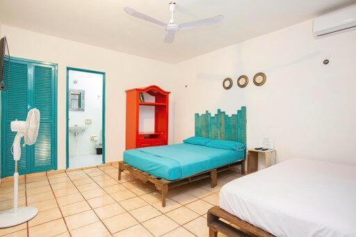 Casa Cálido * Cozumel